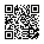 山东擎光文化传媒有限公司移动站二维码