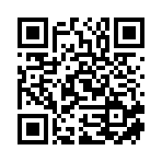 奇际（宁波）数字科技有限公司移动站二维码