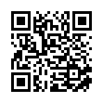 蒙城县漆园乐业驿站人力资源有限公司移动站二维码