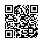 新宁逸彩电子商务有限公司移动站二维码