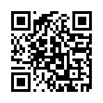 湖北省玖越安全技术咨询有限责任公司移动站二维码