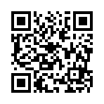 新邵县炉沁商贸有限公司移动站二维码