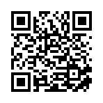 新宁县元富机械租赁有限公司移动站二维码