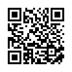 阜南县鸿鑫服饰有限公司移动站二维码