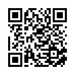 新宁车头湾分布式交流充电桩有限责任公司移动站二维码