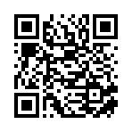 广东撸车星智域科技有限公司移动站二维码