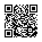 山东鼎顺国际贸易有限公司移动站二维码