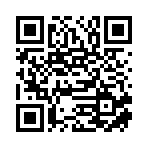 湖北辉派数智科技有限公司移动站二维码