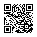 临泉县惊奇信息科技有限公司移动站二维码