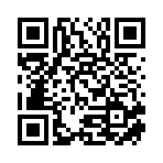 山东国联人才发展有限公司移动站二维码