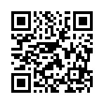 衡阳金闪科技有限公司移动站二维码