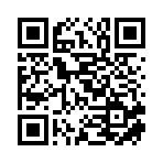 甘肃肆玖智飞文化科技有限公司移动站二维码