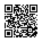 大名县闪电猫新能源科技有限公司移动站二维码