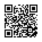 武汉迅动公关咨询有限公司移动站二维码