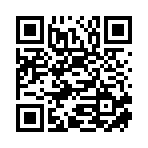 宝应丹泽信息技术有限公司移动站二维码