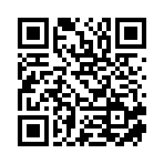 衡阳岚特吊装有限公司移动站二维码