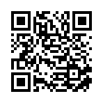 北盛通（沈阳）国际贸易有限公司移动站二维码