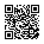 山东岩磊矿山机械有限公司移动站二维码