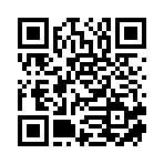 武汉市桥框屿电子商务有限公司移动站二维码