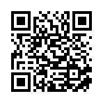 盘锦婷大叔商贸有限公司移动站二维码