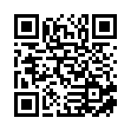 衡阳市观纪电子商贸有限公司移动站二维码