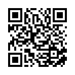 大名县康达建筑工程有限公司移动站二维码