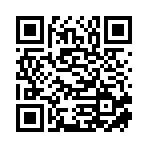 武汉市洛埠商贸有限公司移动站二维码