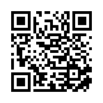 广西岚讯贸易有限公司移动站二维码