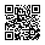 临沂戴森进出口有限公司移动站二维码