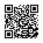 衡阳点益涂装工程有限公司移动站二维码