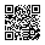 邯郸市亮迅网络科技有限公司移动站二维码