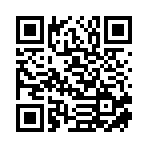 颍上县炫玩电玩娱乐有限公司移动站二维码