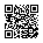 大名县秉驰汽车销售有限公司移动站二维码