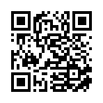 九江市闪电猫商贸有限公司移动站二维码
