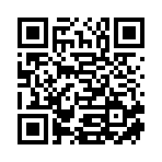 河南河平拍卖有限公司移动站二维码