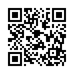 武汉市仕正涂信息咨询有限公司移动站二维码