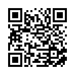 武汉市灵鸢出海跨境电子商务有限责任公司移动站二维码