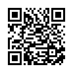 武汉市橙三网络科技有限责任公司移动站二维码