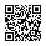 大名县二民装饰有限公司移动站二维码