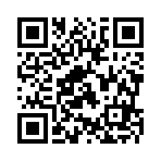 镇平县泠月工艺品有限公司移动站二维码