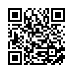 大名县佰盛通信服务有限公司移动站二维码