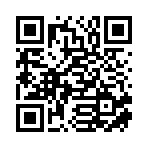 驰盛联（新野县）国际贸易服务有限责任公司移动站二维码