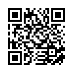 沈阳讯飞网络系统集成工程有限公司移动站二维码