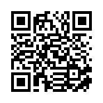 湖南车佳宜汽车服务有限公司移动站二维码