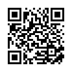 桐柏县俊爱工艺品有限公司移动站二维码