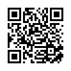 大名县荷旦网络科技有限公司移动站二维码