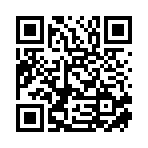 鲁山县澜睿电子商务有限责任公司移动站二维码