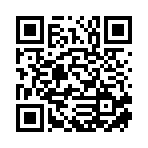 武汉飞凡弘达商贸有限公司移动站二维码