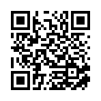 武汉市丰碧进网络科技有限公司移动站二维码