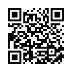 阜阳市汇链网络科技有限责任公司移动站二维码